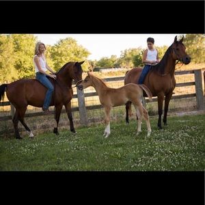 Meet your Posher, Cassandra